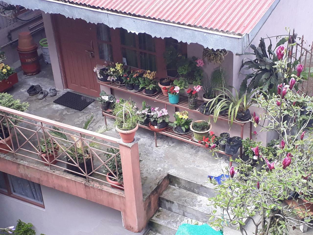 Little Singamari Home Stay Darjeeling  Exterior photo