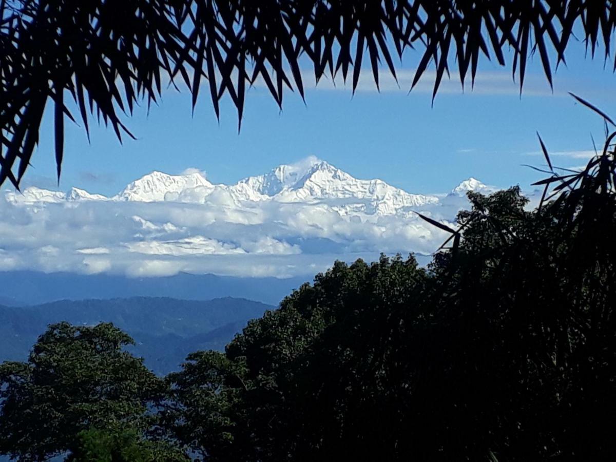 Little Singamari Home Stay Darjeeling  Exterior photo